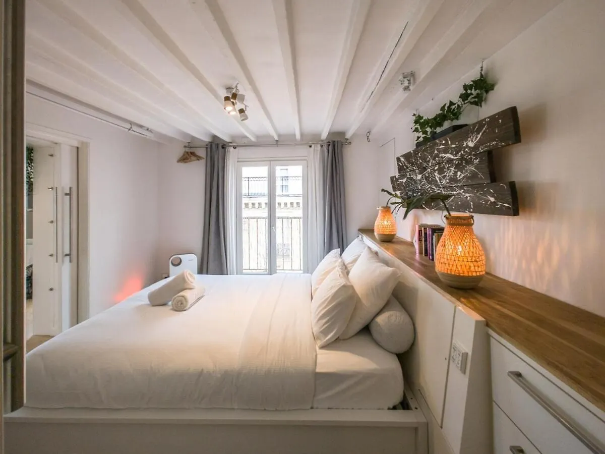 Saint-germain-des-pres Story Apartment